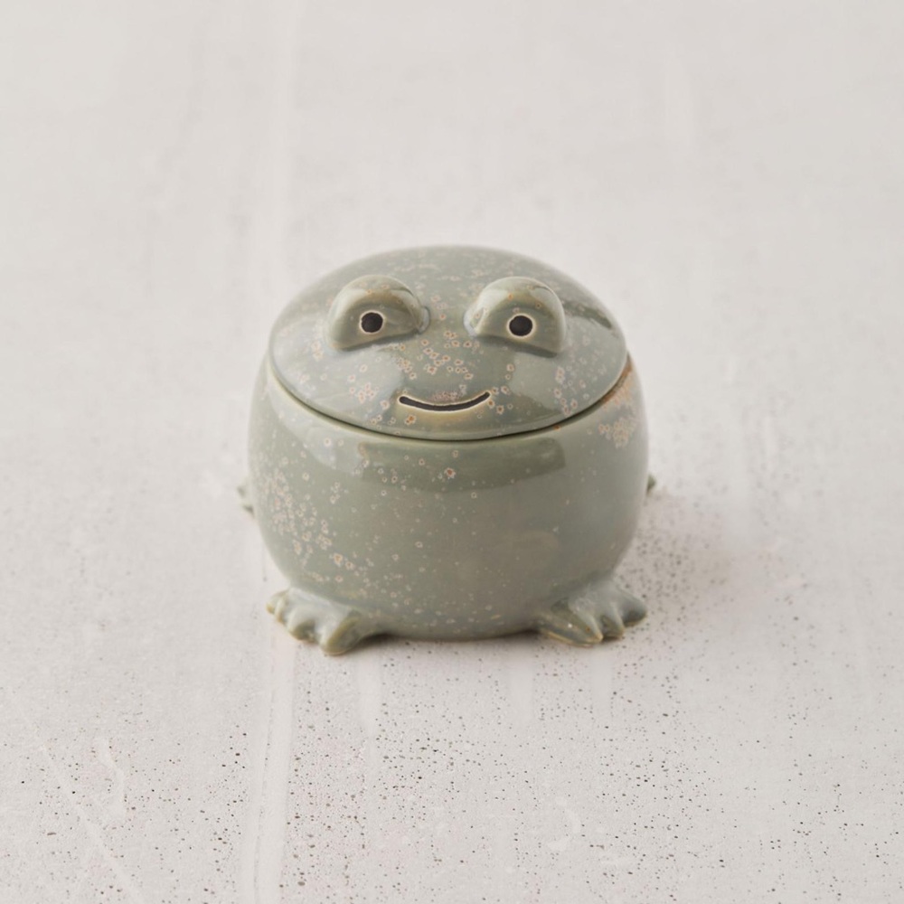 Urban Outfitters ceramic frog jewelry stash box 🐸